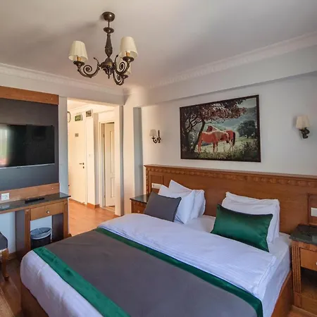 Duru Sultanahmet & * 이스탄불