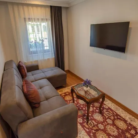 Duru Sultanahmet & 아파트 *