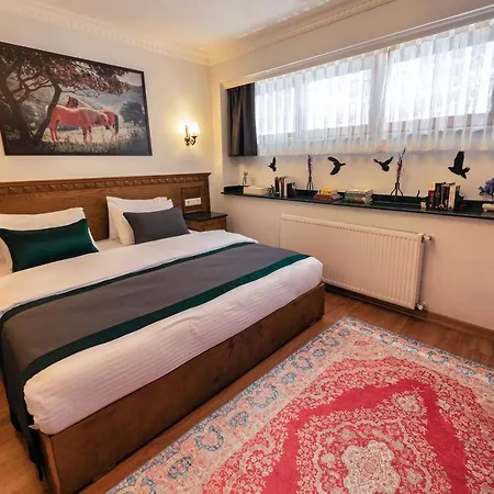 아파트 Duru Sultanahmet & *