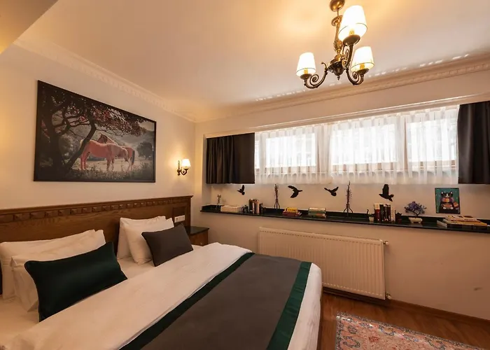 Apartament Duru Sultanahmet & Stambuł