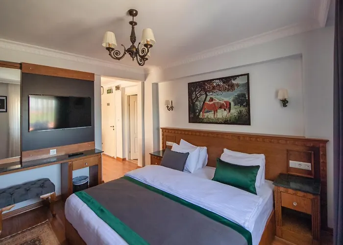 Duru Sultanahmet & * Stambuł